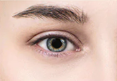 No Dark Circles